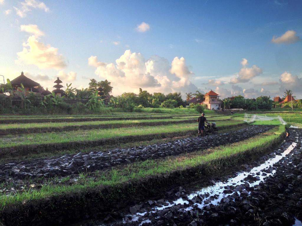 Oasis Canggu Exterior foto