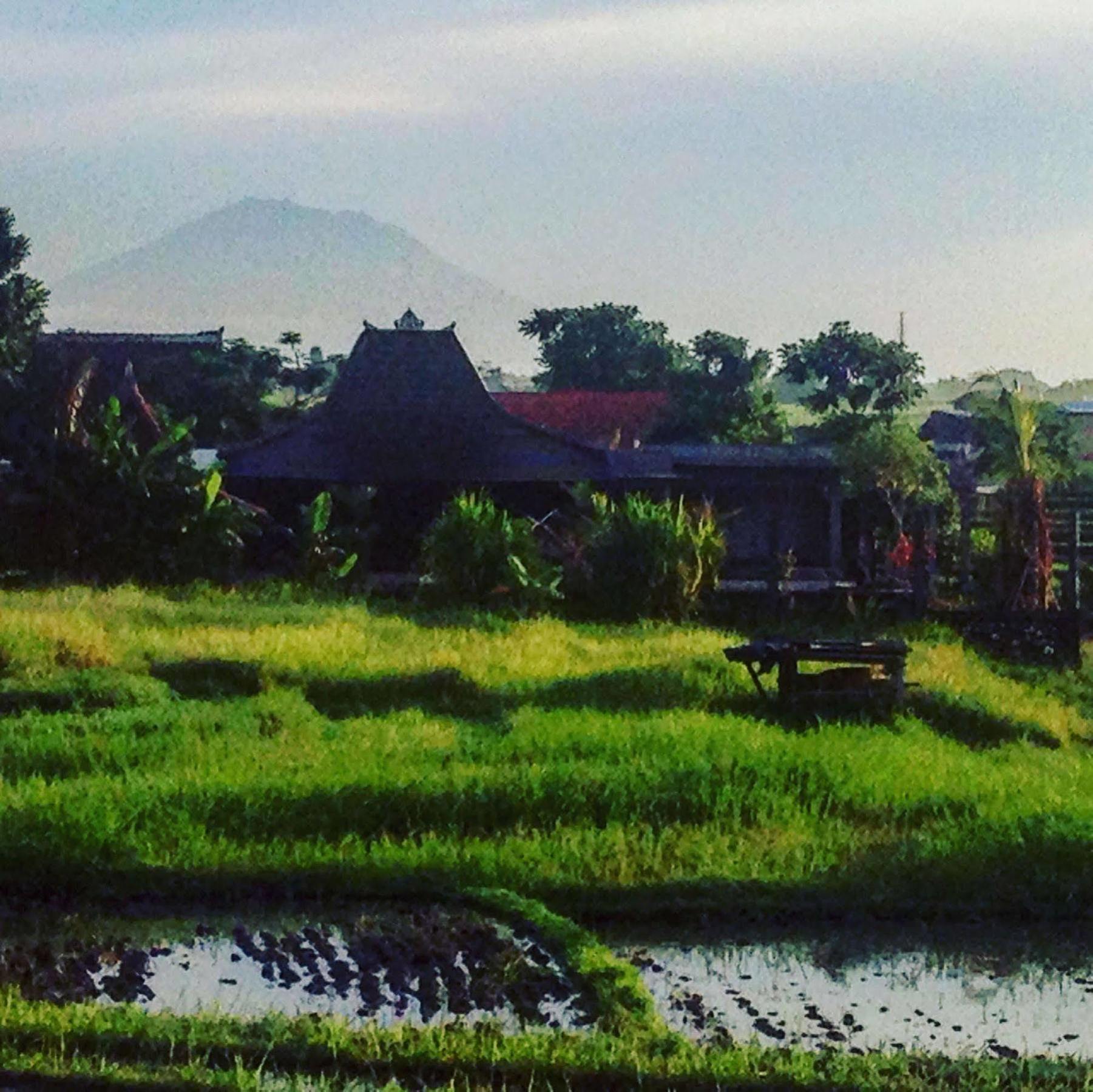 Oasis Canggu Exterior foto